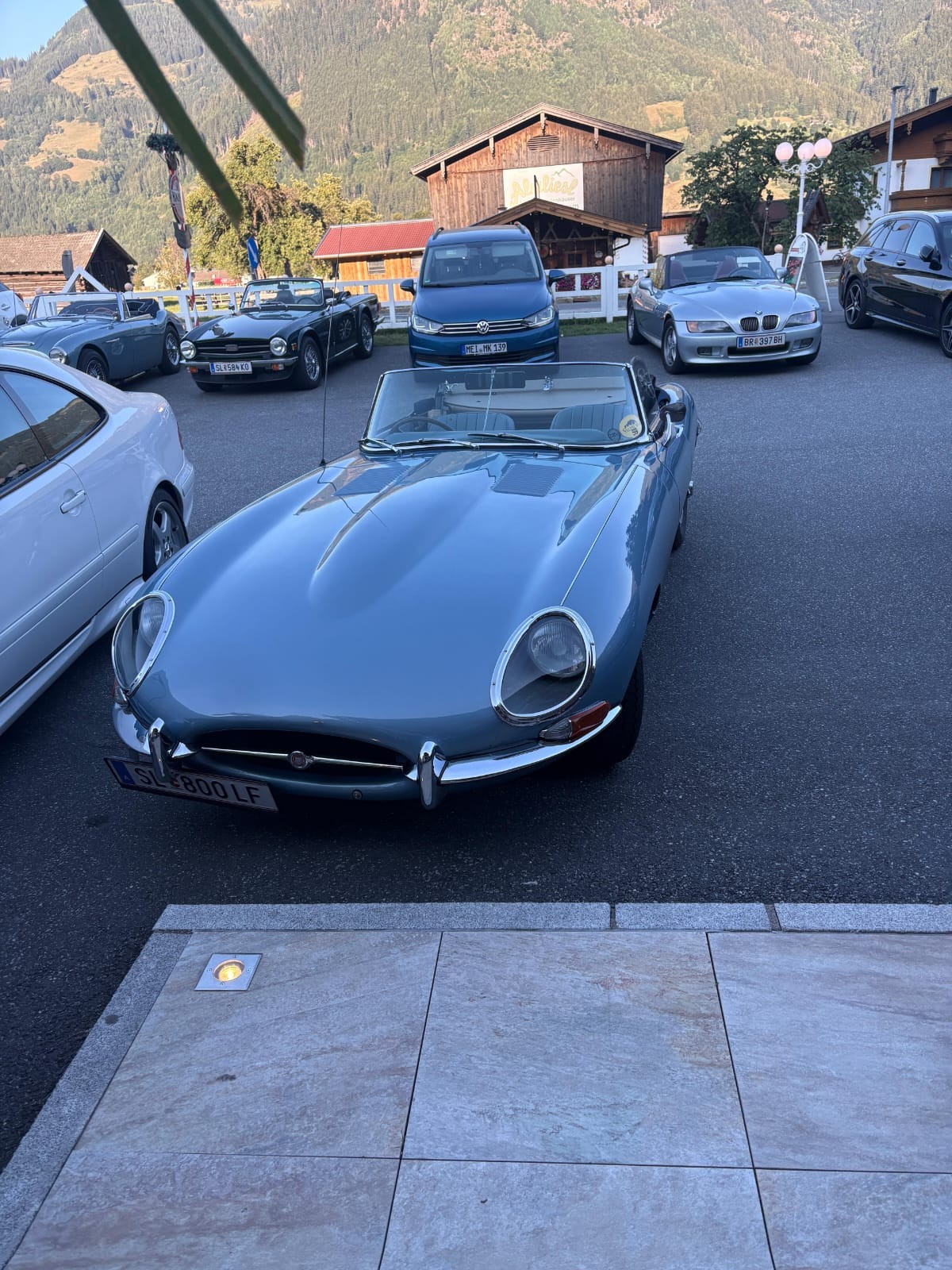 V8