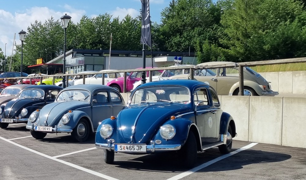 X8kv64rpjuyd Kaefersommertour