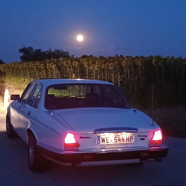 Dwxojv4uuk4q 20250808 211451