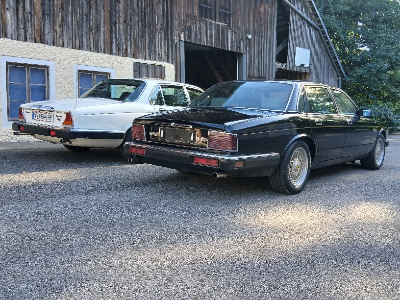 L28plz1xbust 20250903 171238