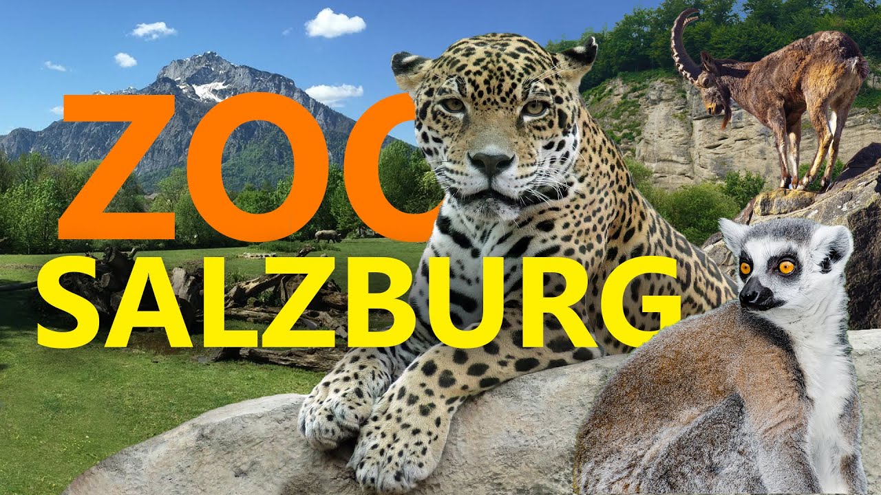 Zoo Hellbrunn